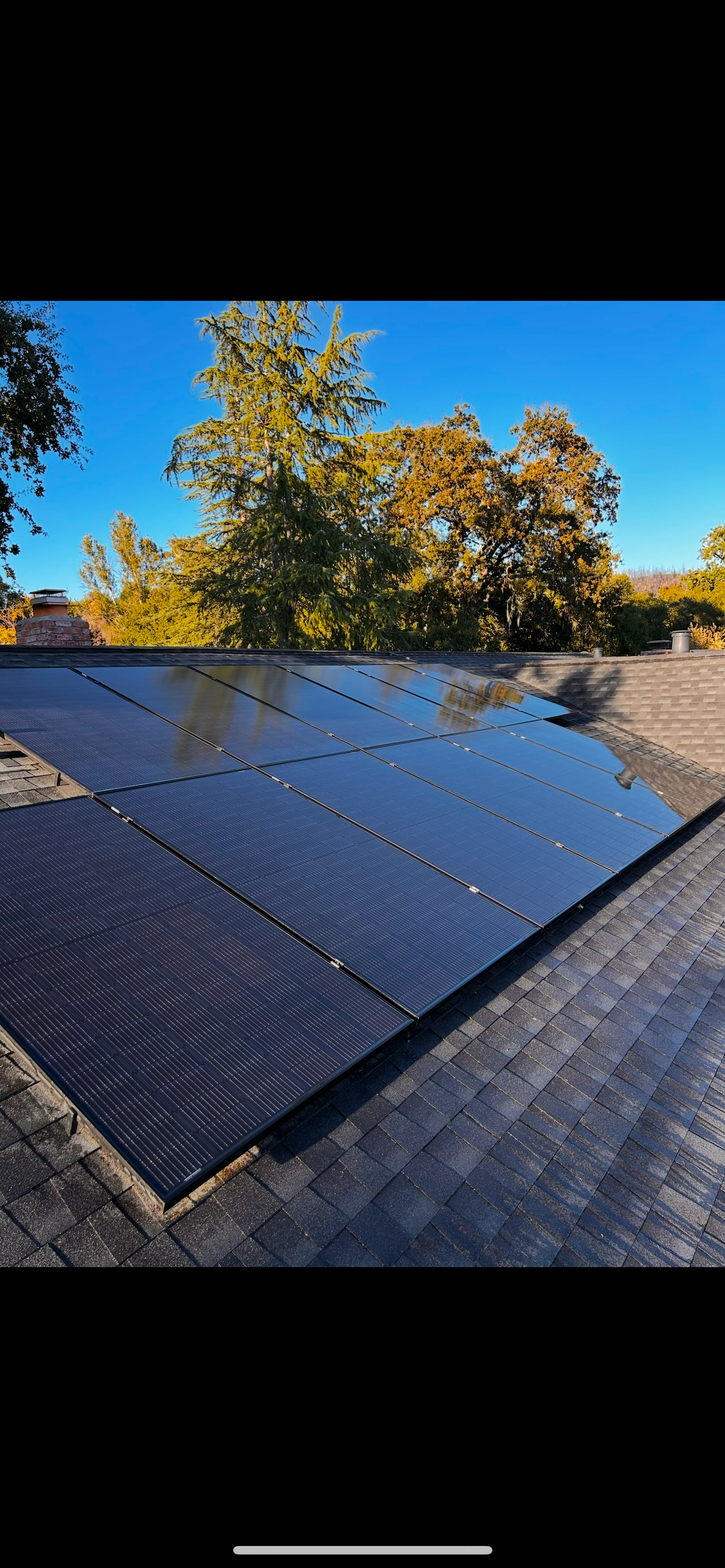 Glass roof with view of garden, pink umbrella, and blue sky.