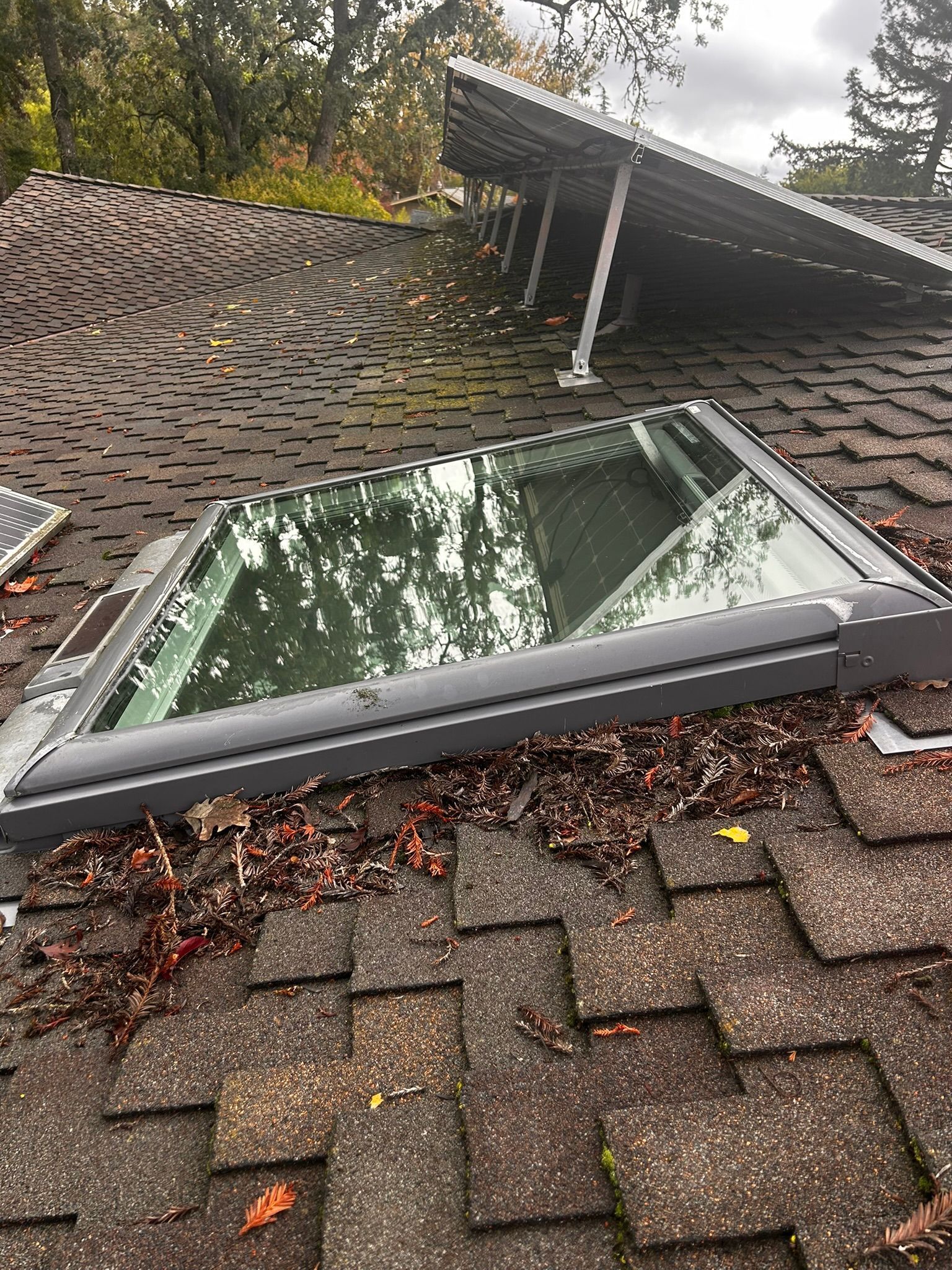 Skylight on a brown shingled roof, covered with leaves, with solar panels in the background.