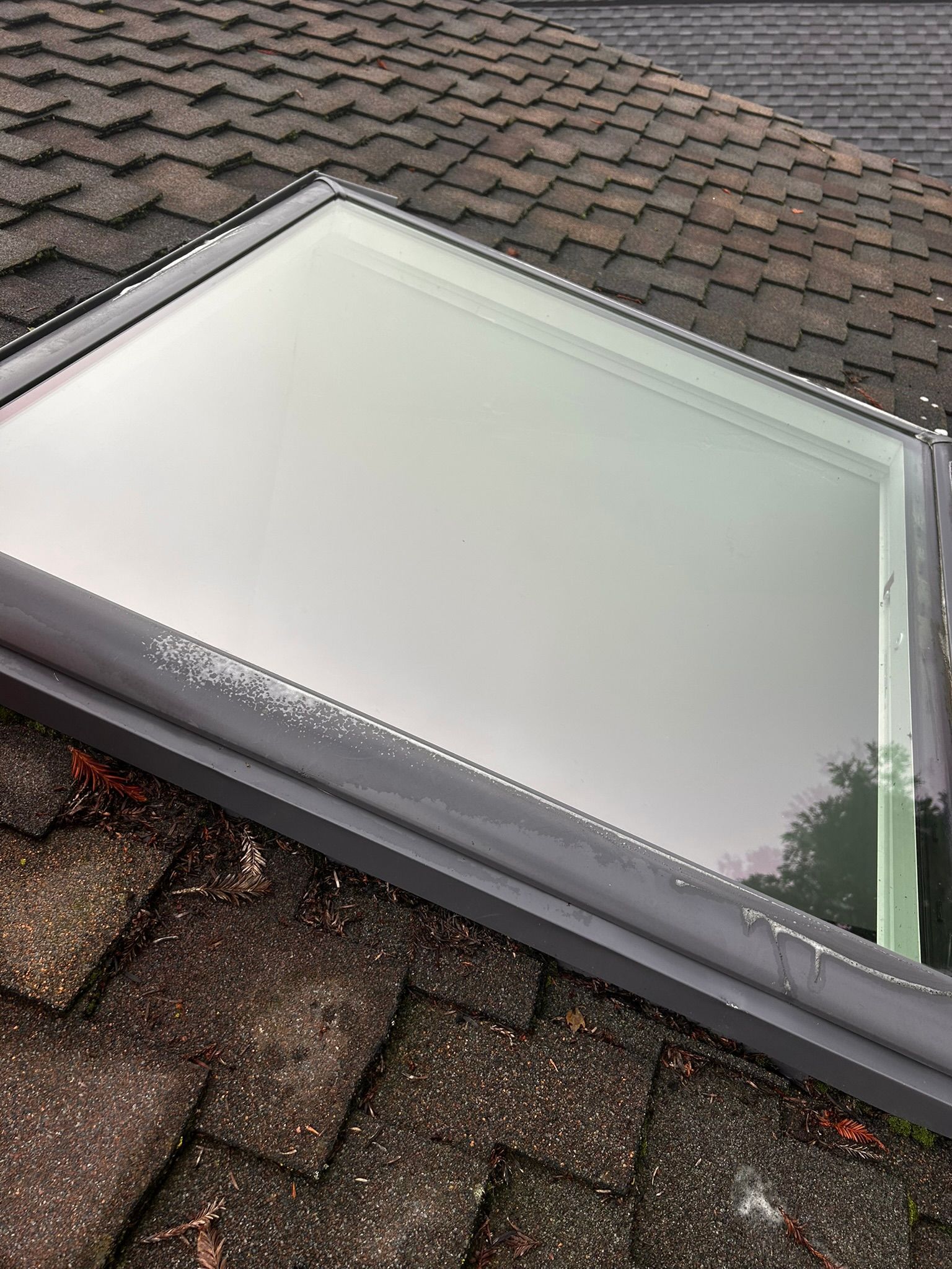Skylight on a shingled roof, showing a rectangular window with dark frame.
