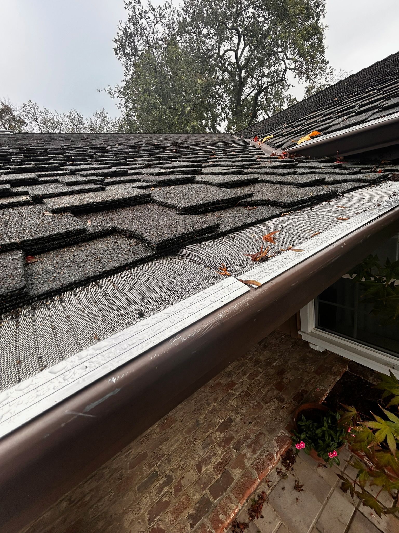 Brown roof with gutter guard, visible roofing, and a brick wall below.