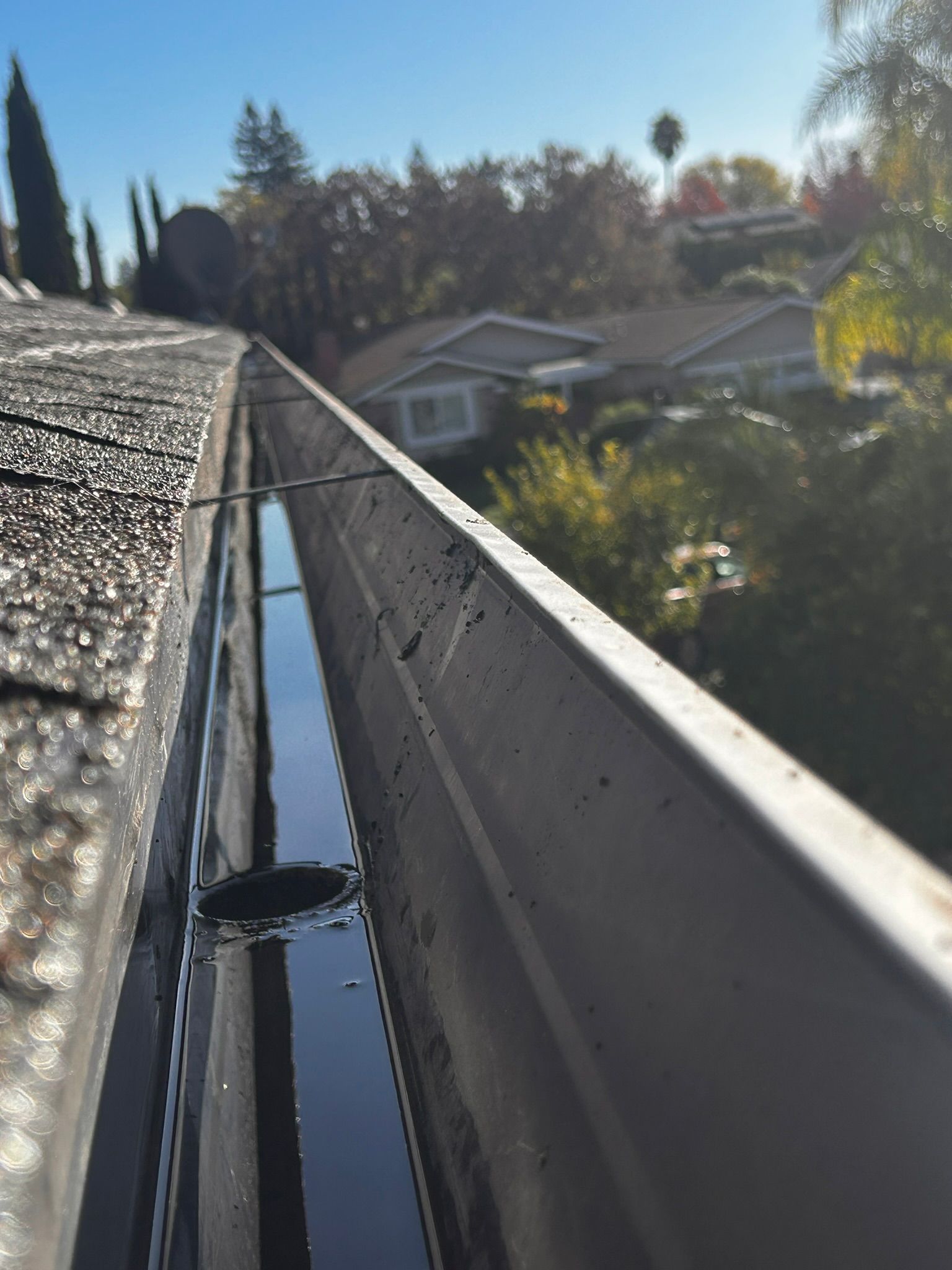 A close-up of a rain gutter filled with water and debris. Houses and trees are in the background under a blue sky.