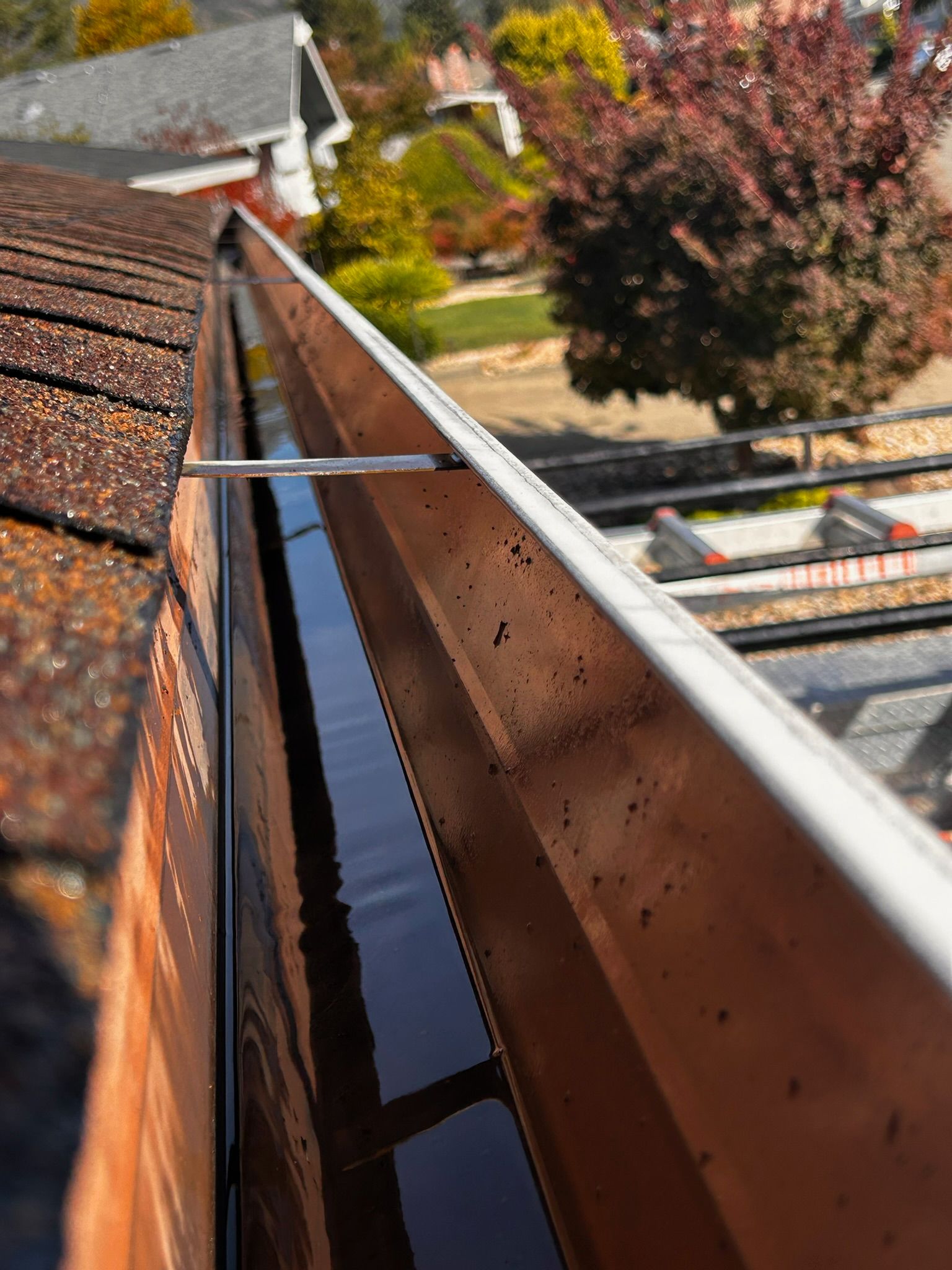 Close-up of a rain gutter filled with water, next to a brown roof. Fall foliage in the background.