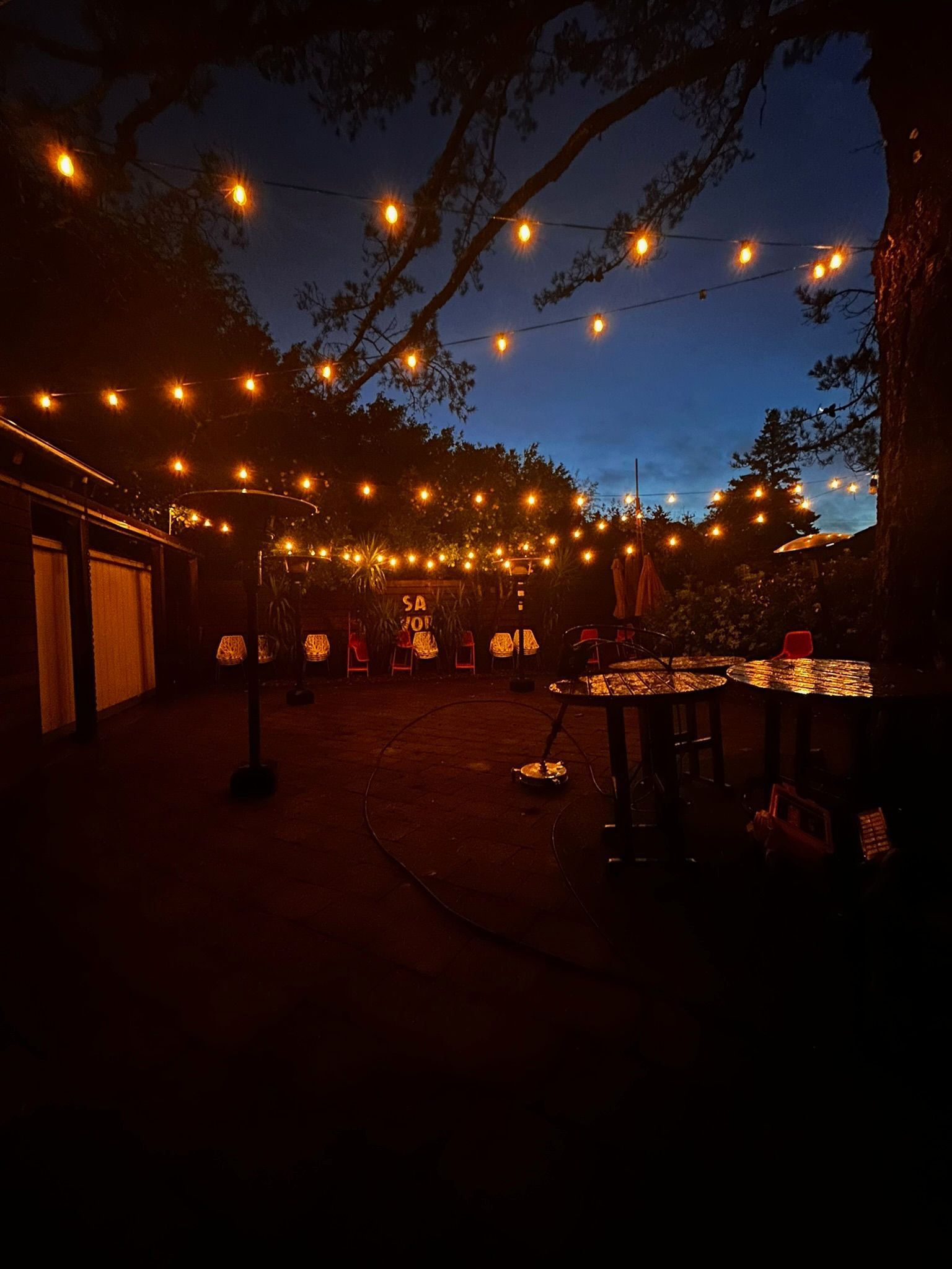 String lights illuminate a dark outdoor setting. A table is set up under trees, at dusk.