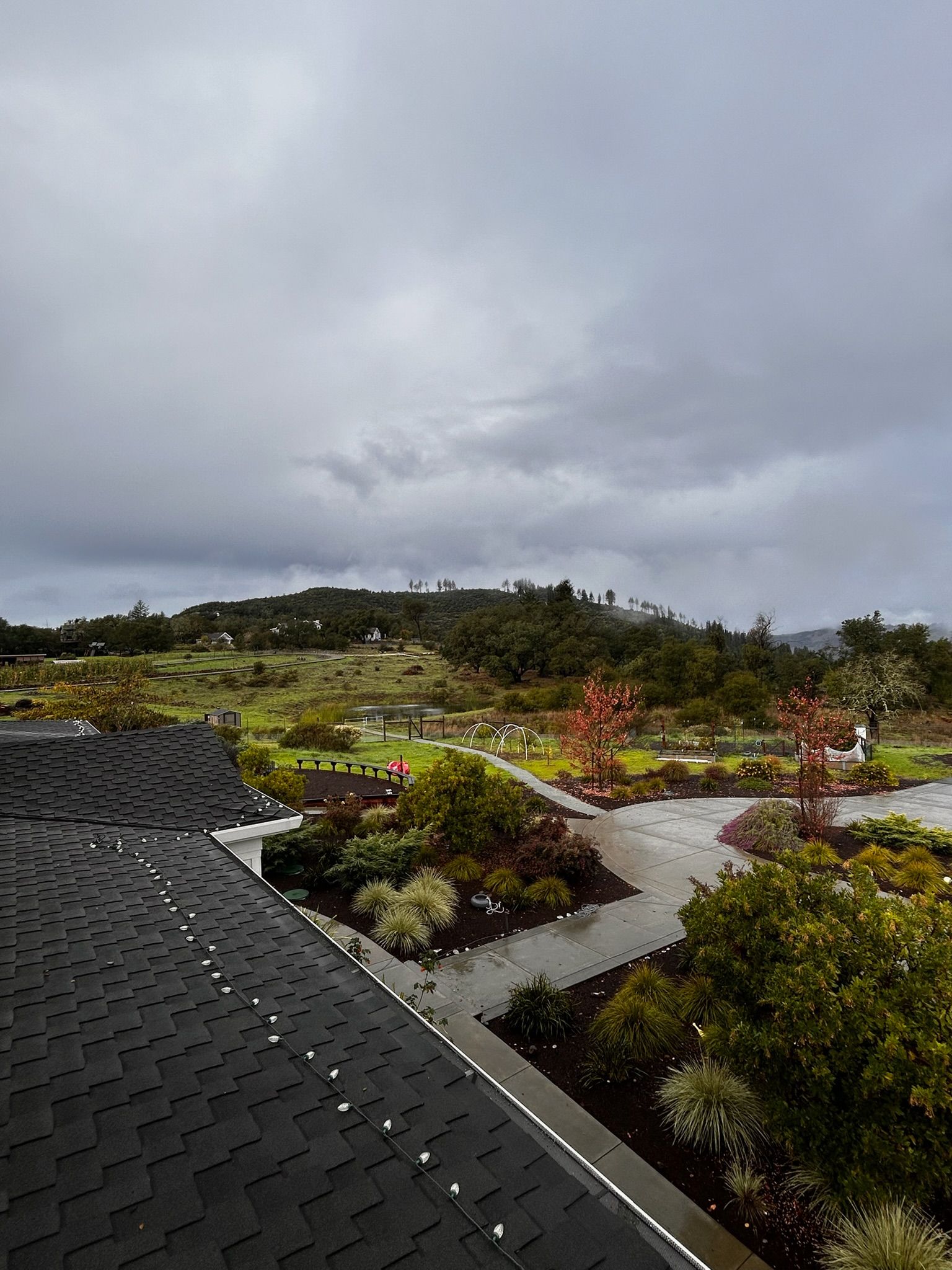 Overcast view of a landscaped garden with a dark roof in the foreground and a distant hill.