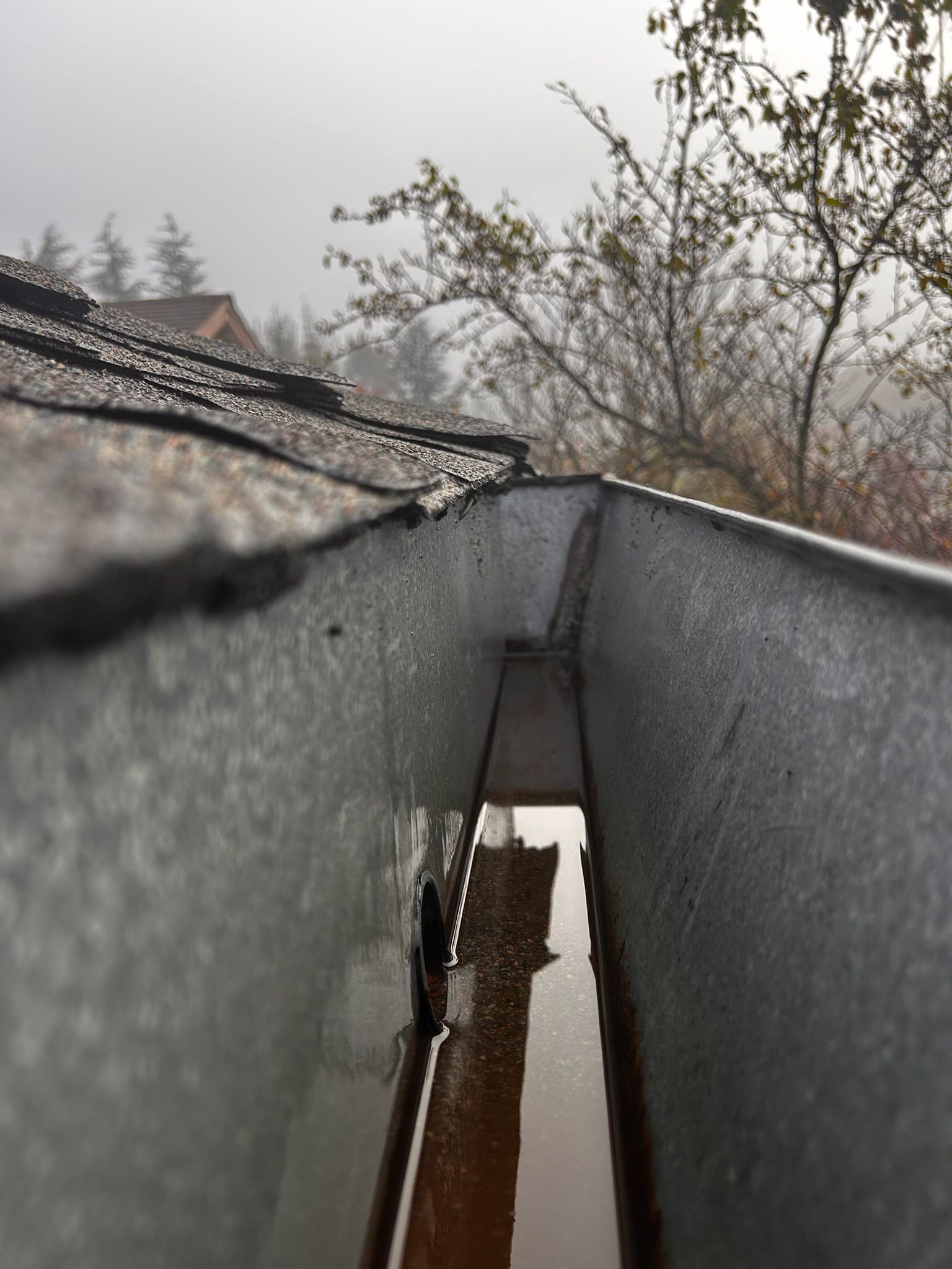 Inside view of a metal gutter with water, near a roof edge. Foggy day with trees in the background.