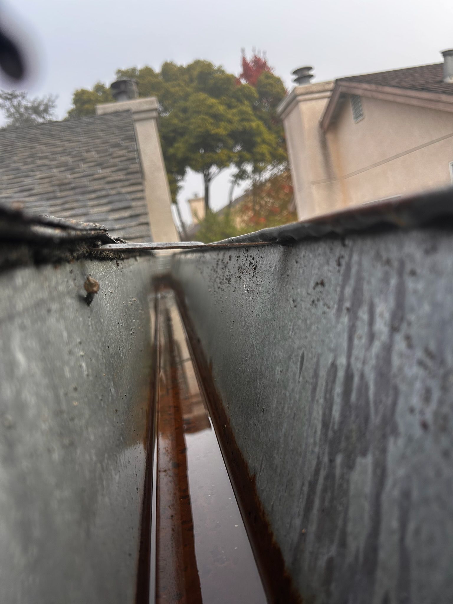 Close-up of a rain gutter filled with water. The gutter is metal, with a roof and trees in the background.