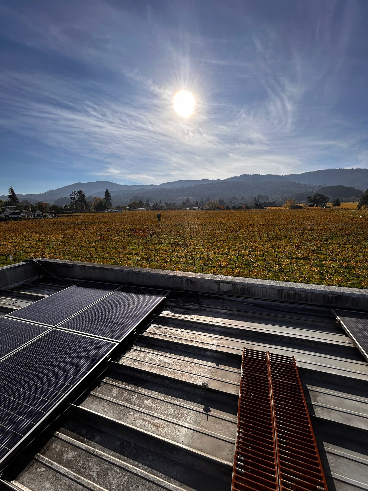 Solar panels on a roof with a vineyard in the background under a bright sun.