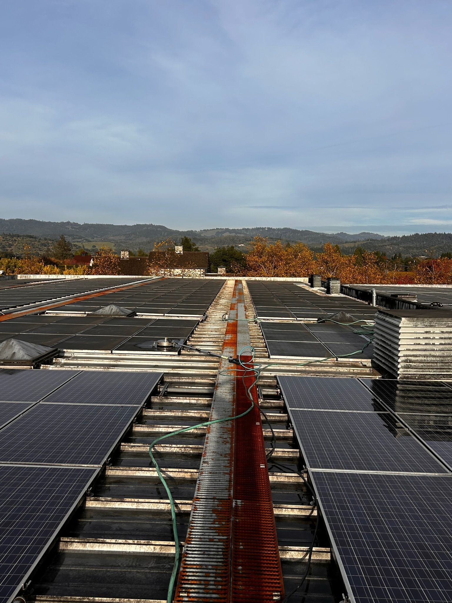 Solar panels on a building's roof with a distant tree line and cloudy sky.