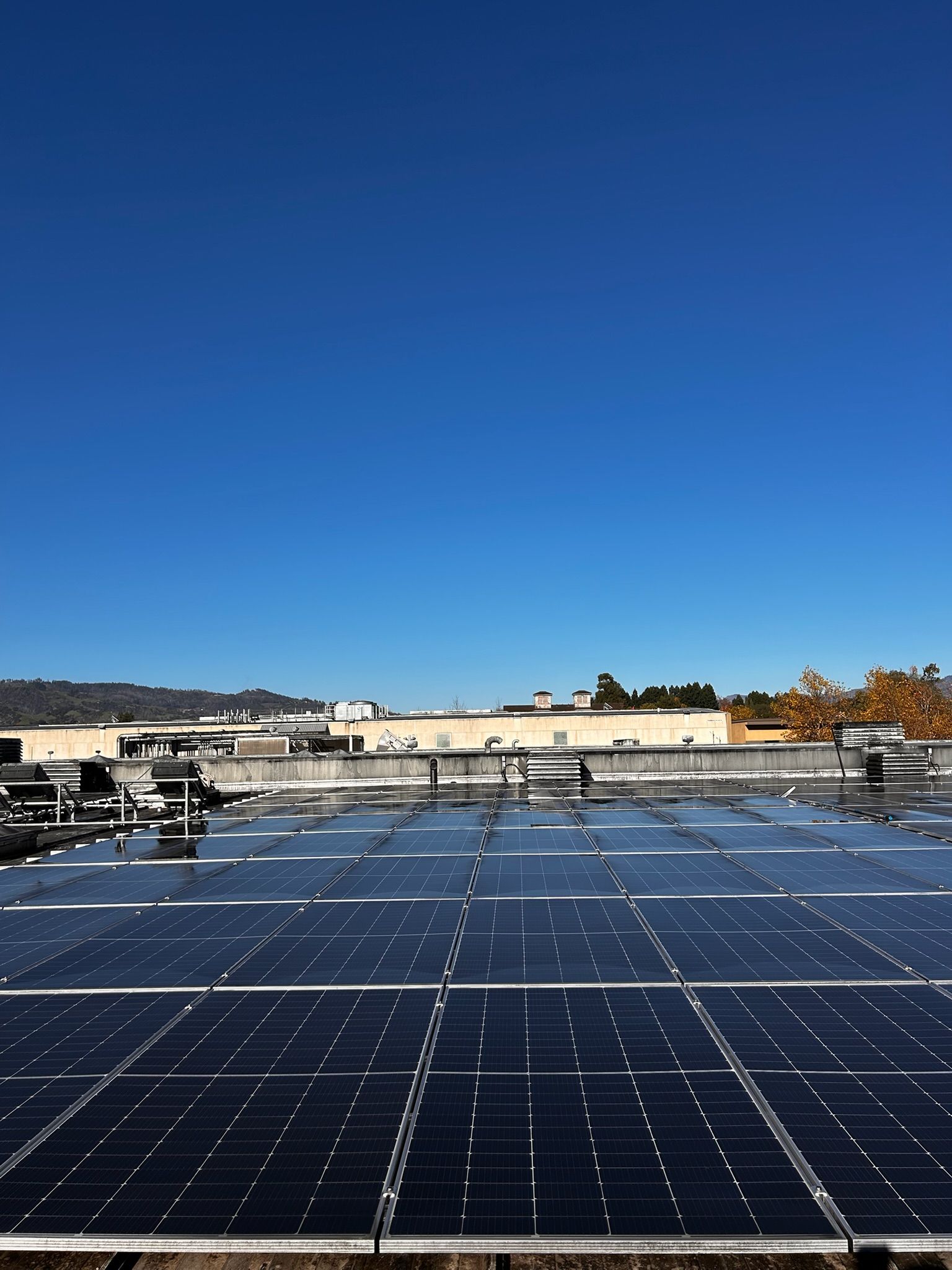 Solar panels cover a roof under a clear blue sky.