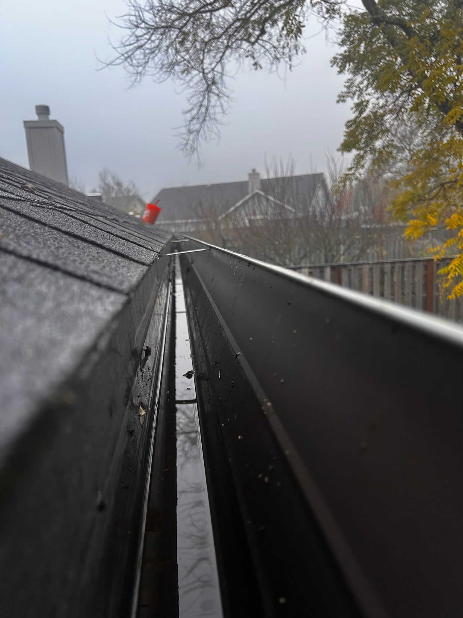 View inside a rain gutter filled with water and debris; overcast, with rooftops and trees in the background.