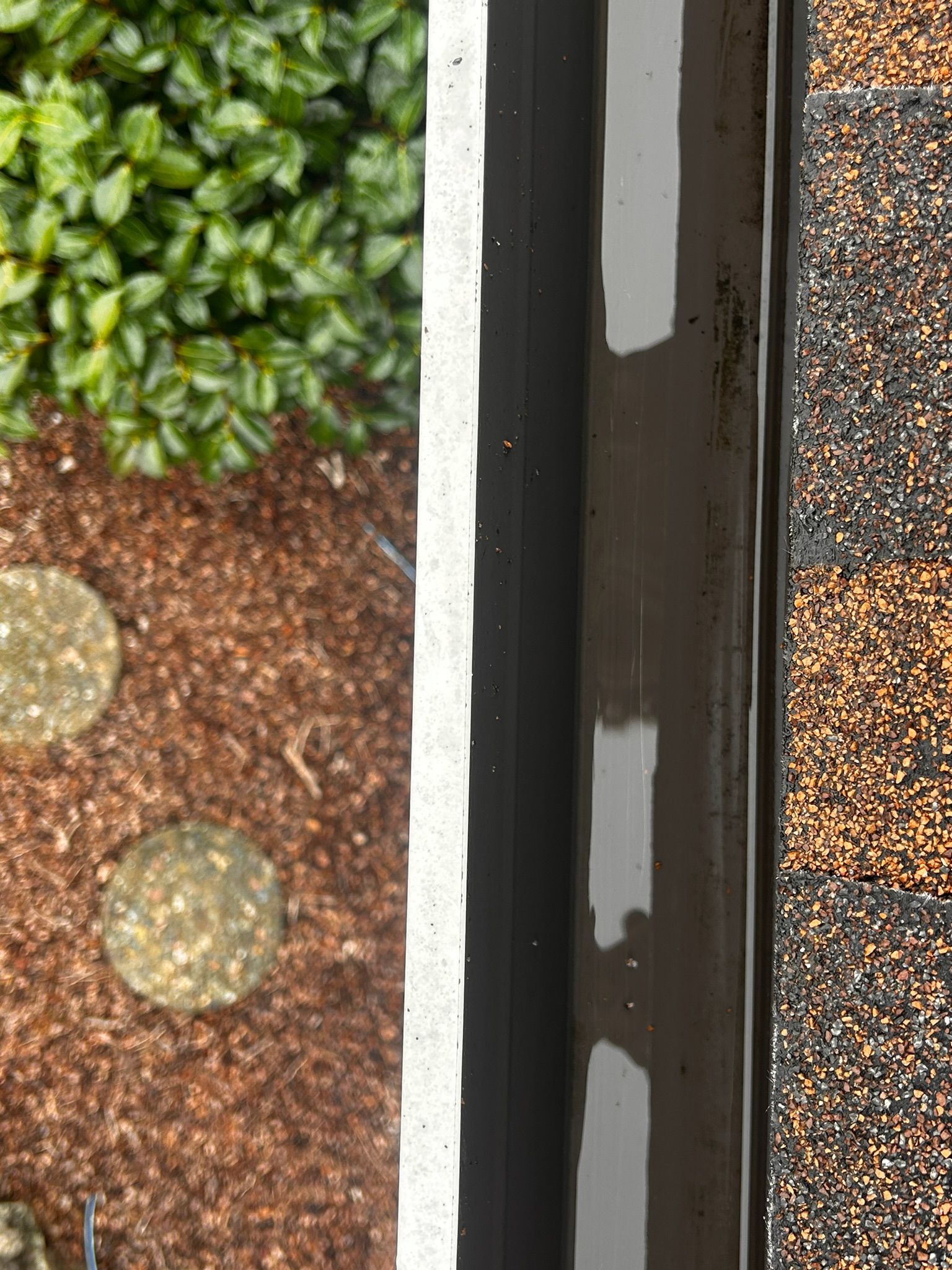 Dark gutter and brown roof edge, with brown mulch and green shrubbery to the left.