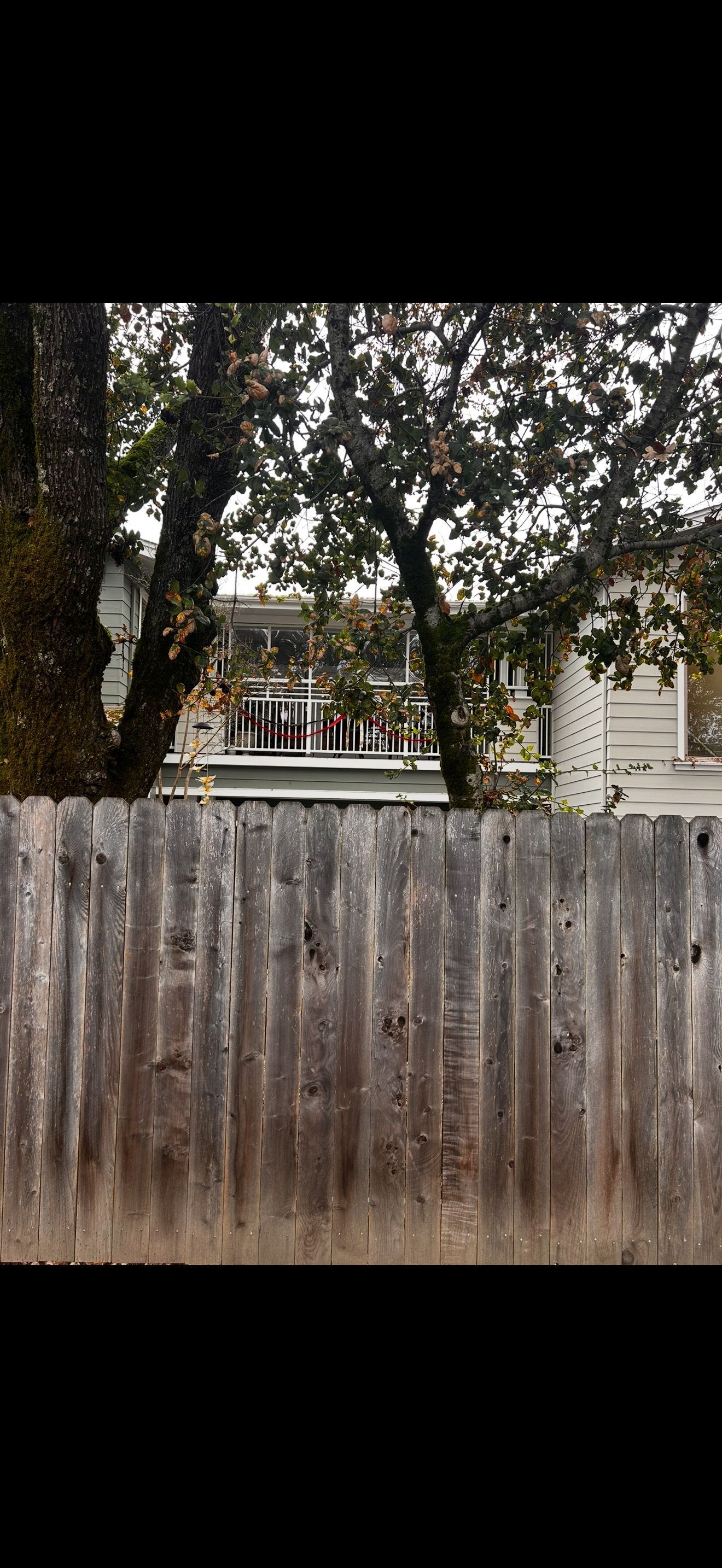Wooden fence with trees and a house in the background.