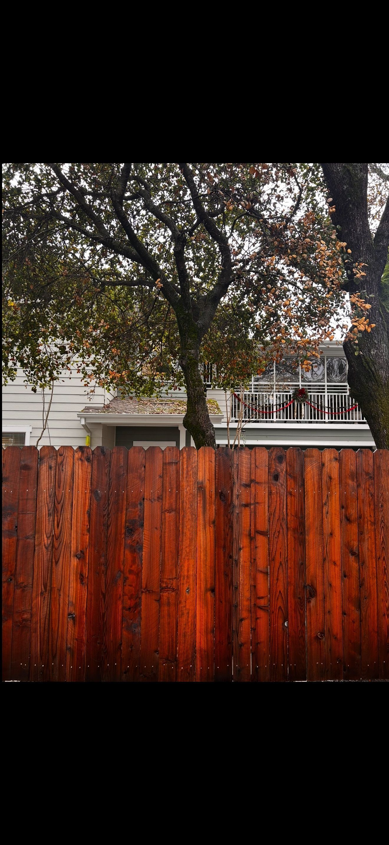 Wooden fence in front of a house, with trees above.