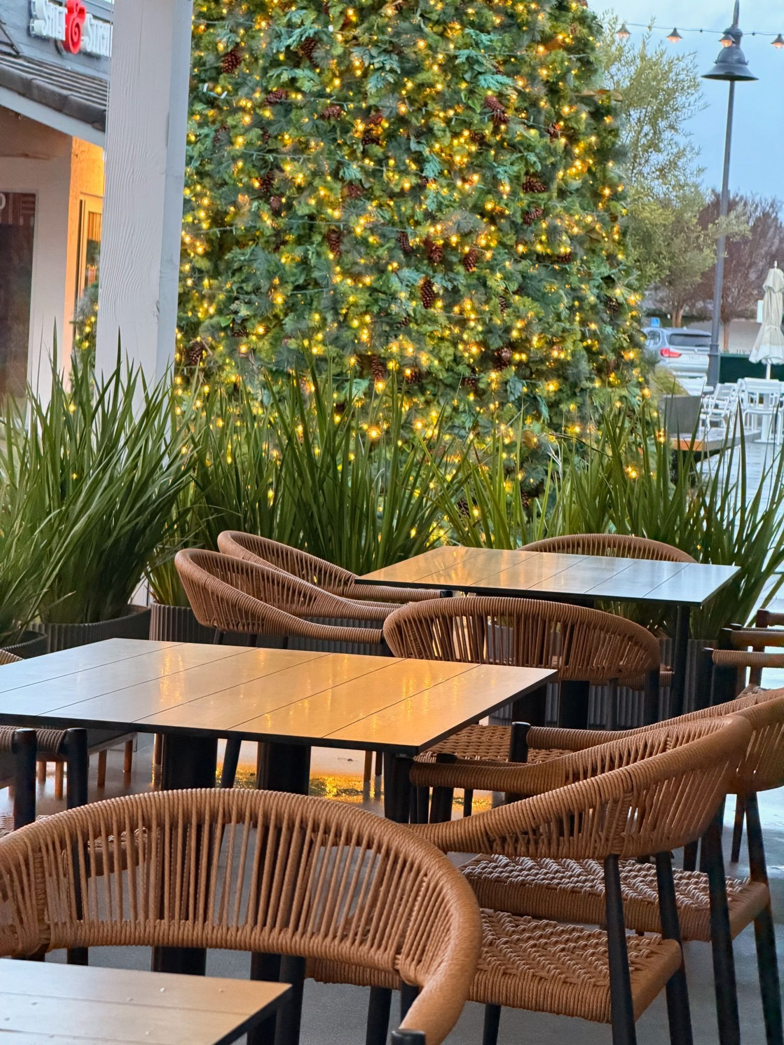 Outdoor cafe seating with woven chairs and tables, a large Christmas tree with lights in the background.