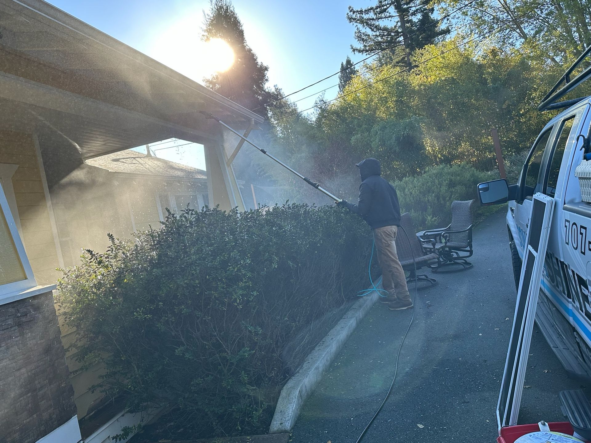 Man power washing a bush next to a building. Sun shining, spray visible. White truck in the background.