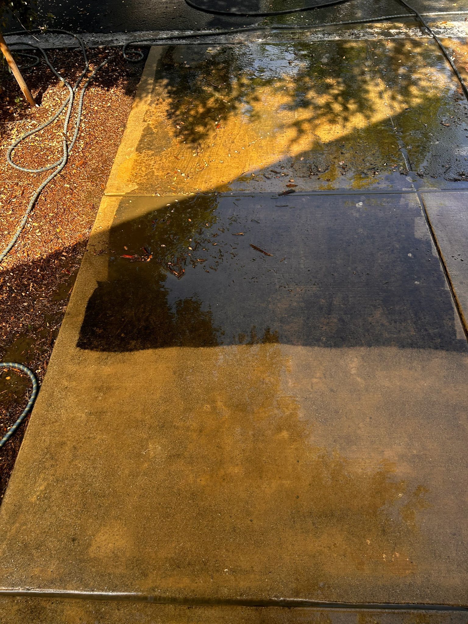 Wet concrete sidewalk with a shadow, partially cleaned, sunlight.