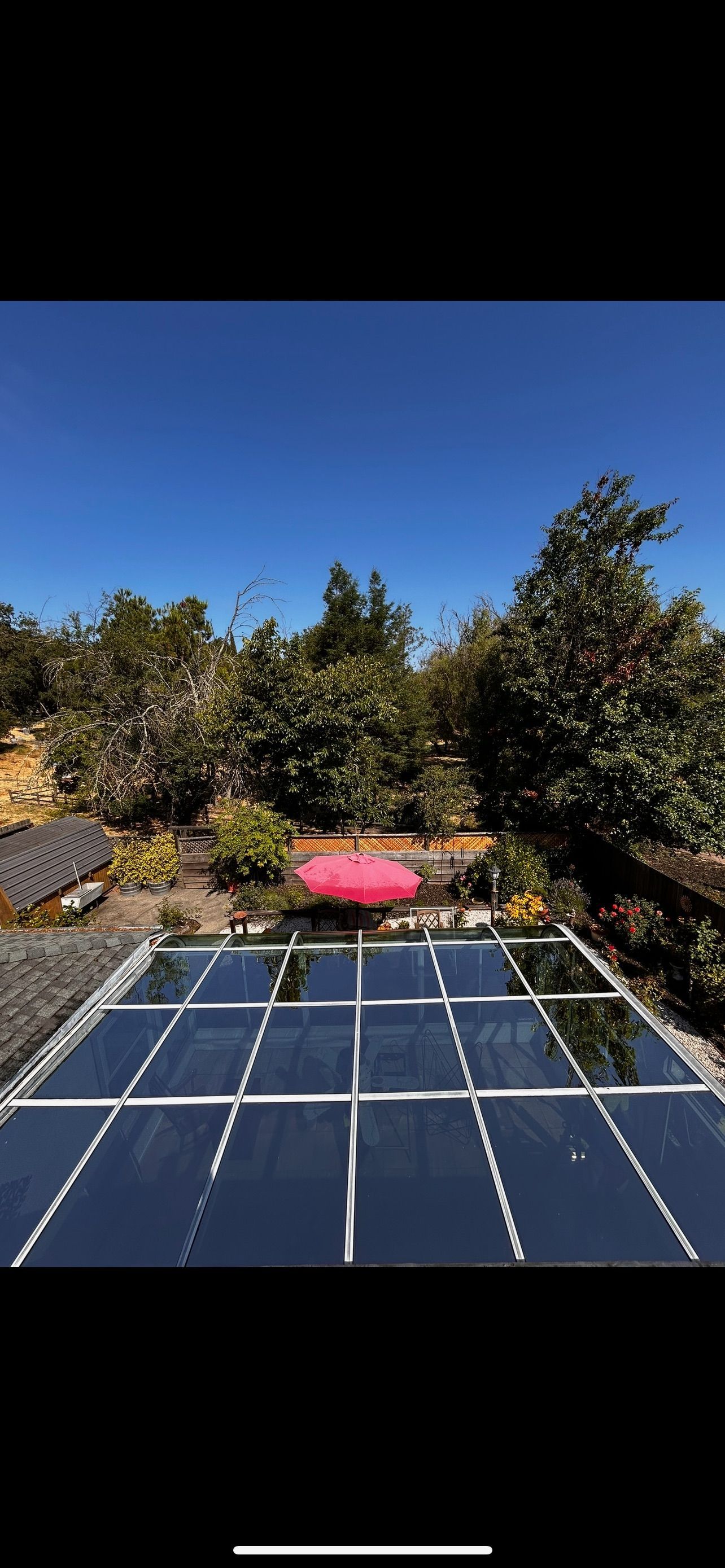 A glass roof with a pink flowerbed on a sunny day. Trees in the background.