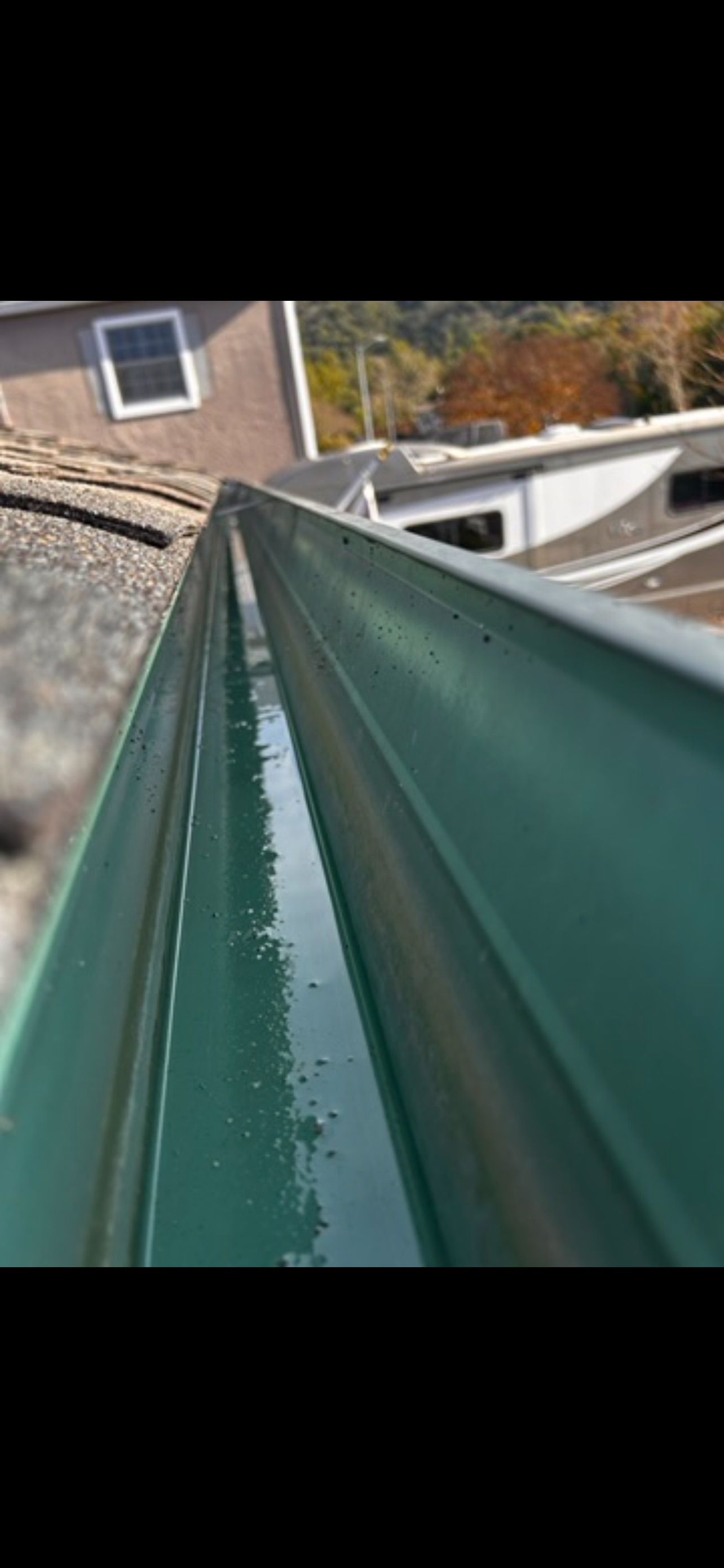 A close-up of a green gutter filled with water, on a roof with buildings and trees in the background.
