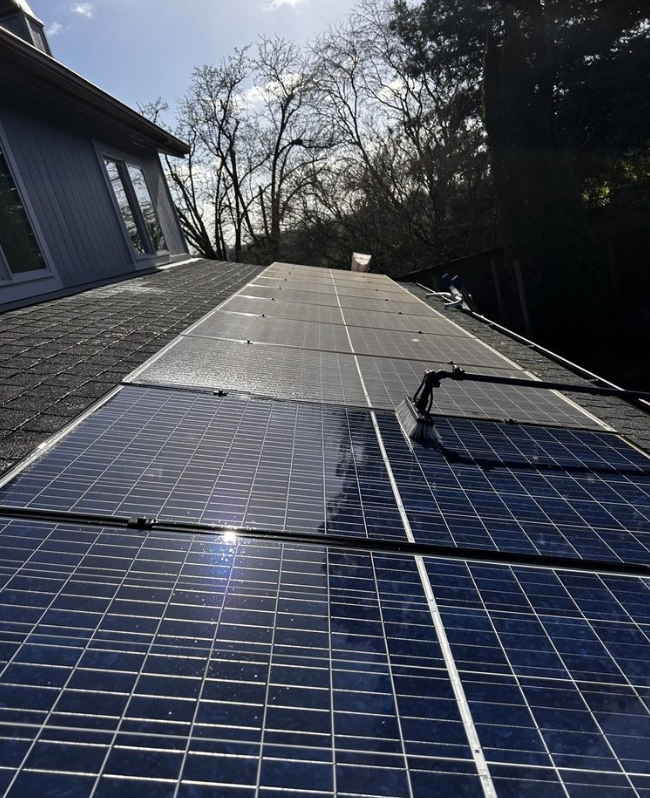 Solar panels on a roof, reflecting sunlight. Black panels and wires, surrounded by dark shingles and trees.