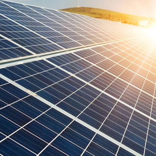 A field of solar panels with the sun shining through them.