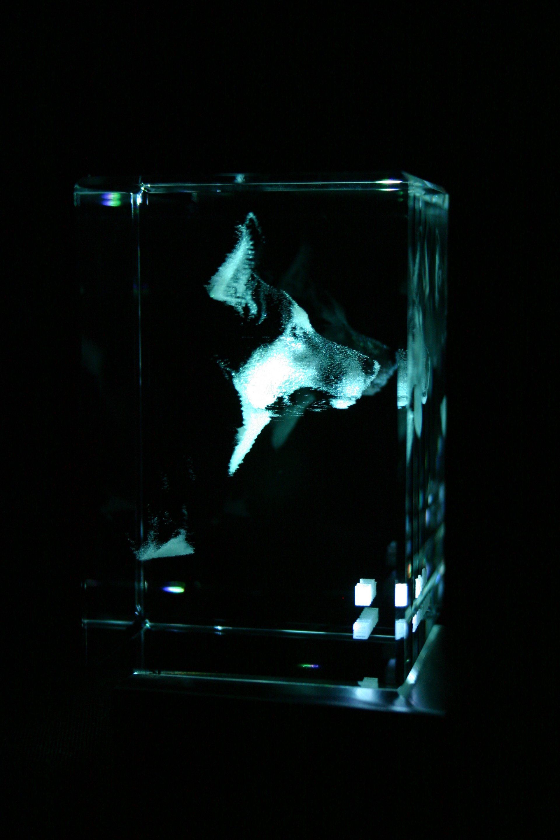 3D Lasergravur Martignalia Optik mit Hund abgebildet