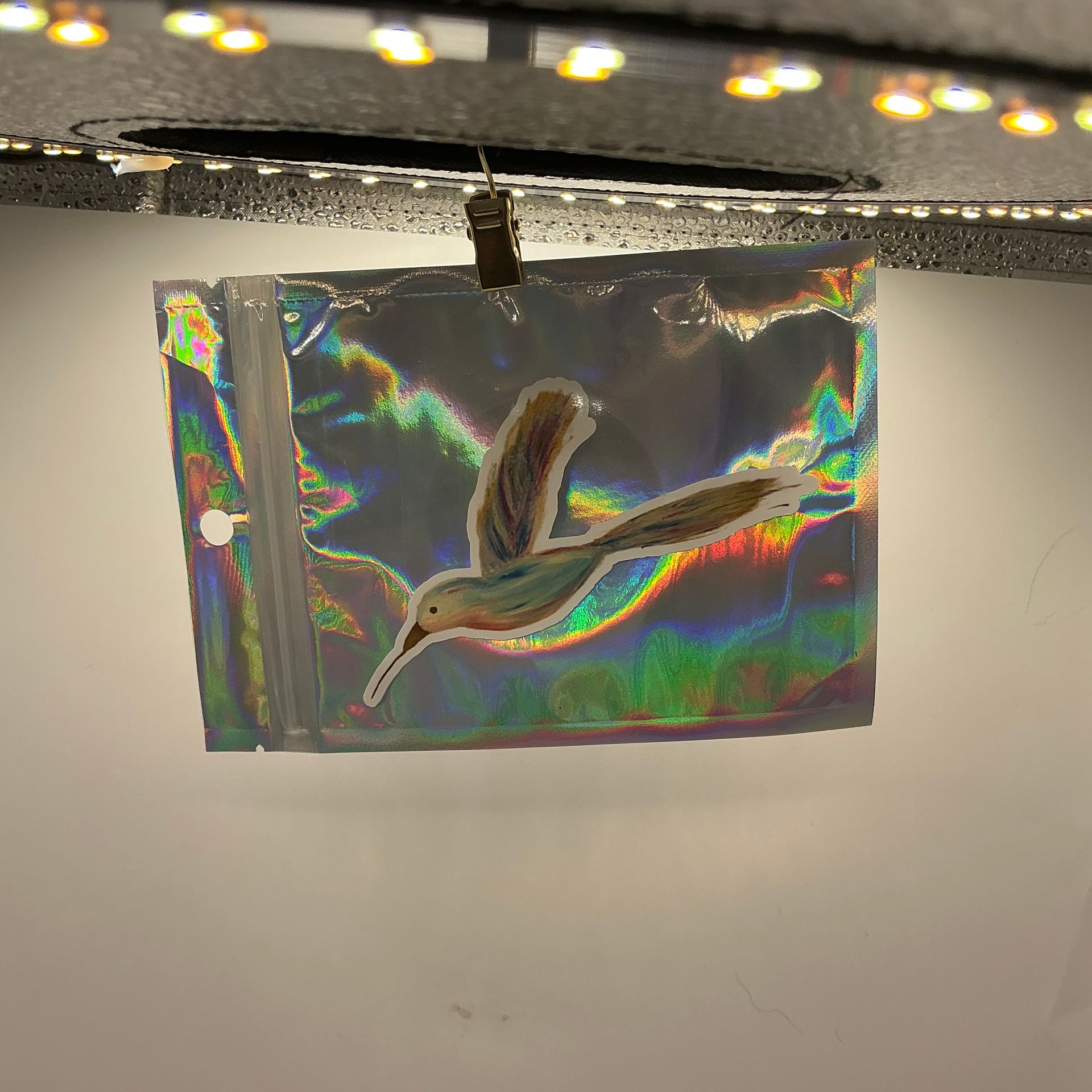Hummingbird Vinyl Sticker