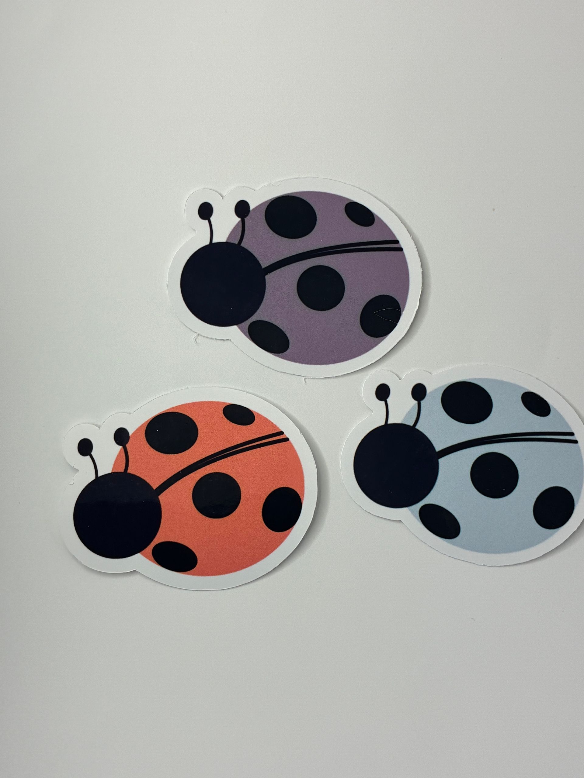 Pressed Petals Garden Vinyl Die-Cut Stickers – Choose Your Design