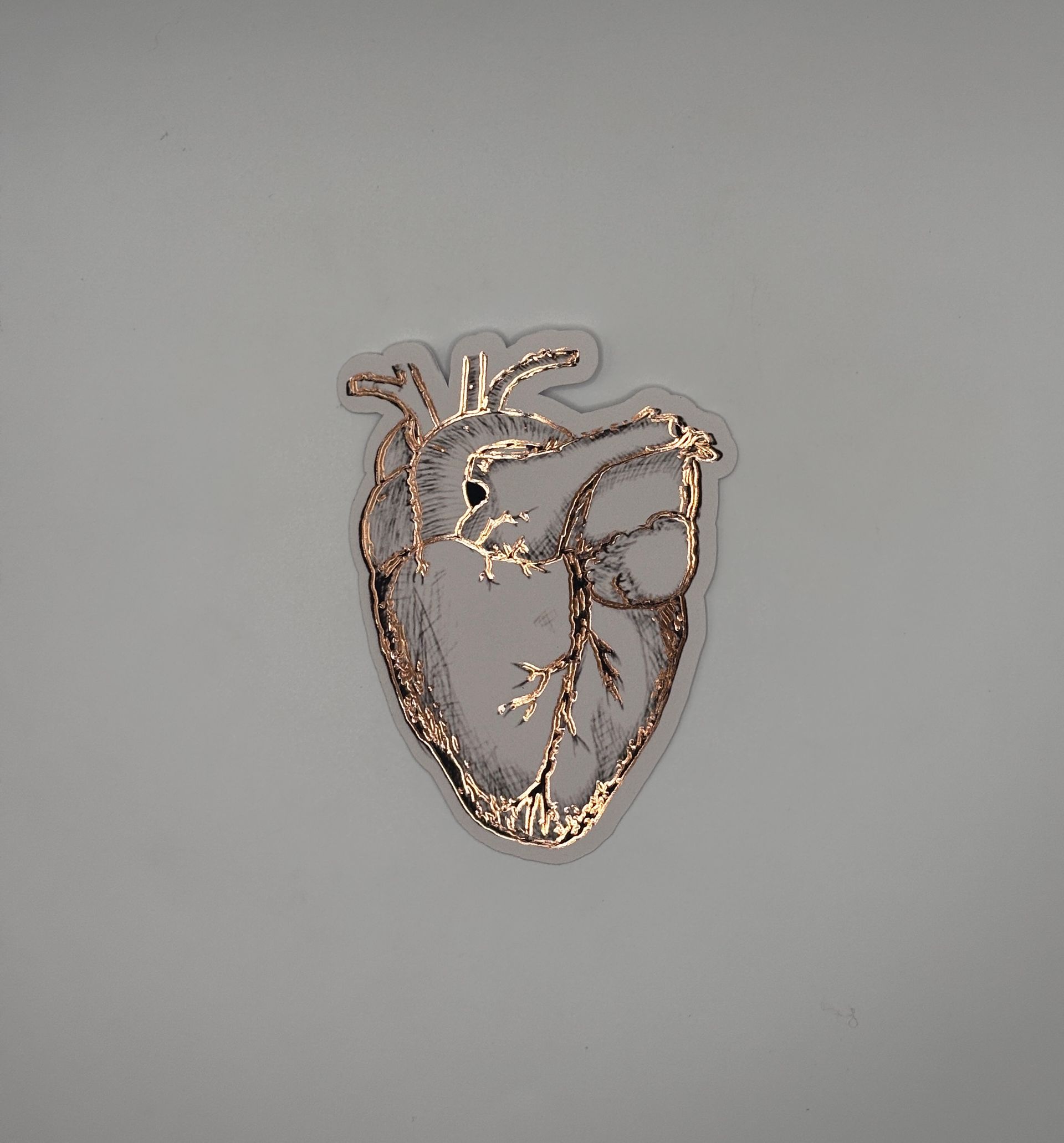 Anatomical Heart Foil Sticker
