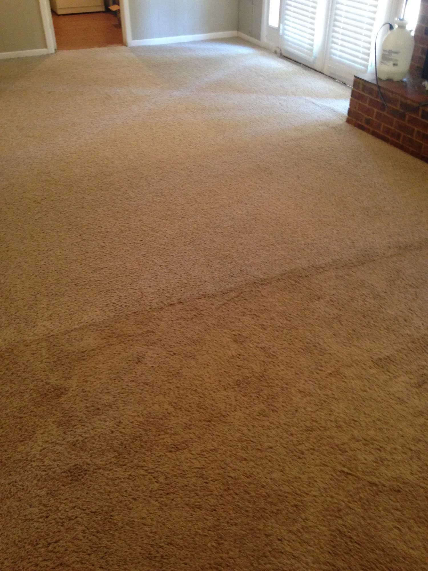 Living Room Carpet Cleaning — Texarkana, TX — Superior Carpet Care