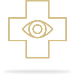 Retinal photos and OCT icon