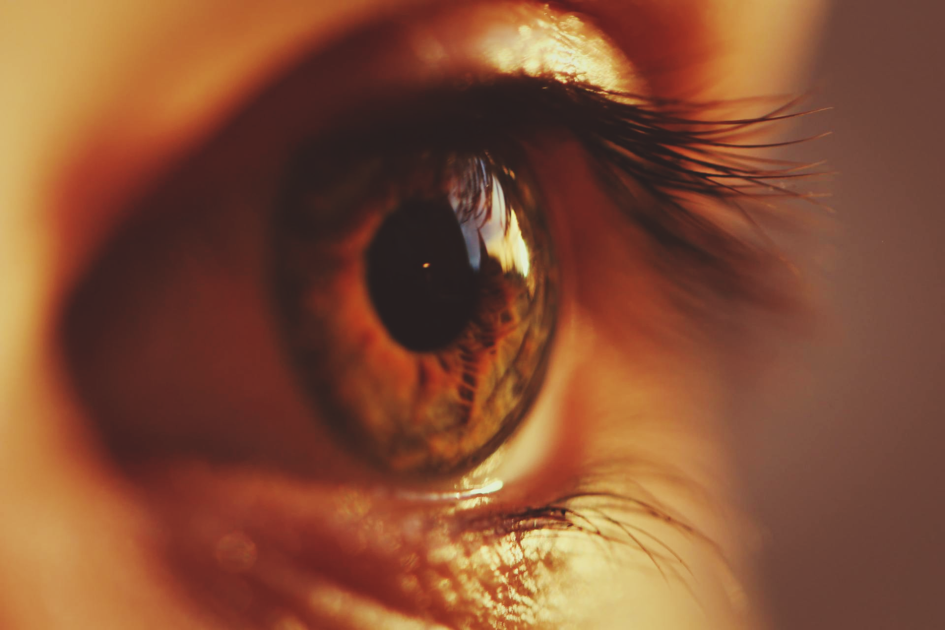 left eye woman hazel eyelashes cornea contact lens