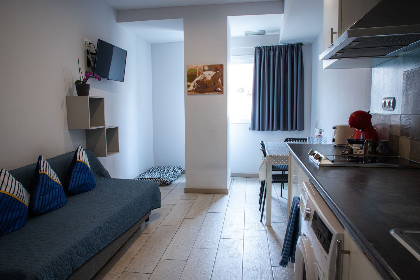 Interior de un pequeño apartamento con sofá, cocina, mesa de comedor y una ventana con cortinas azules.