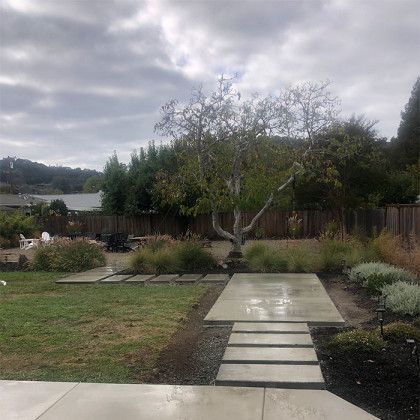 There is a tree in the middle of the backyard.