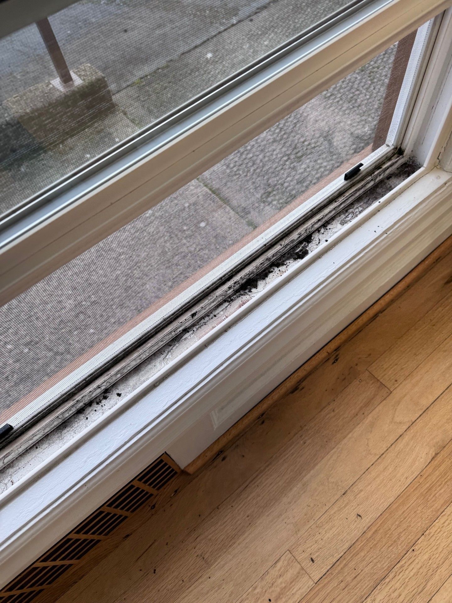 Window Sill - Before