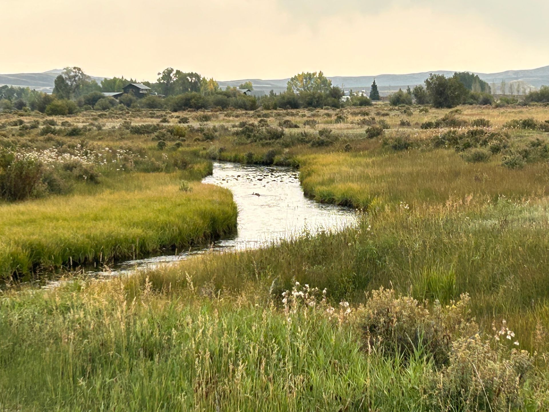 Jemas Ranch Prairie Creek Restoration Progress