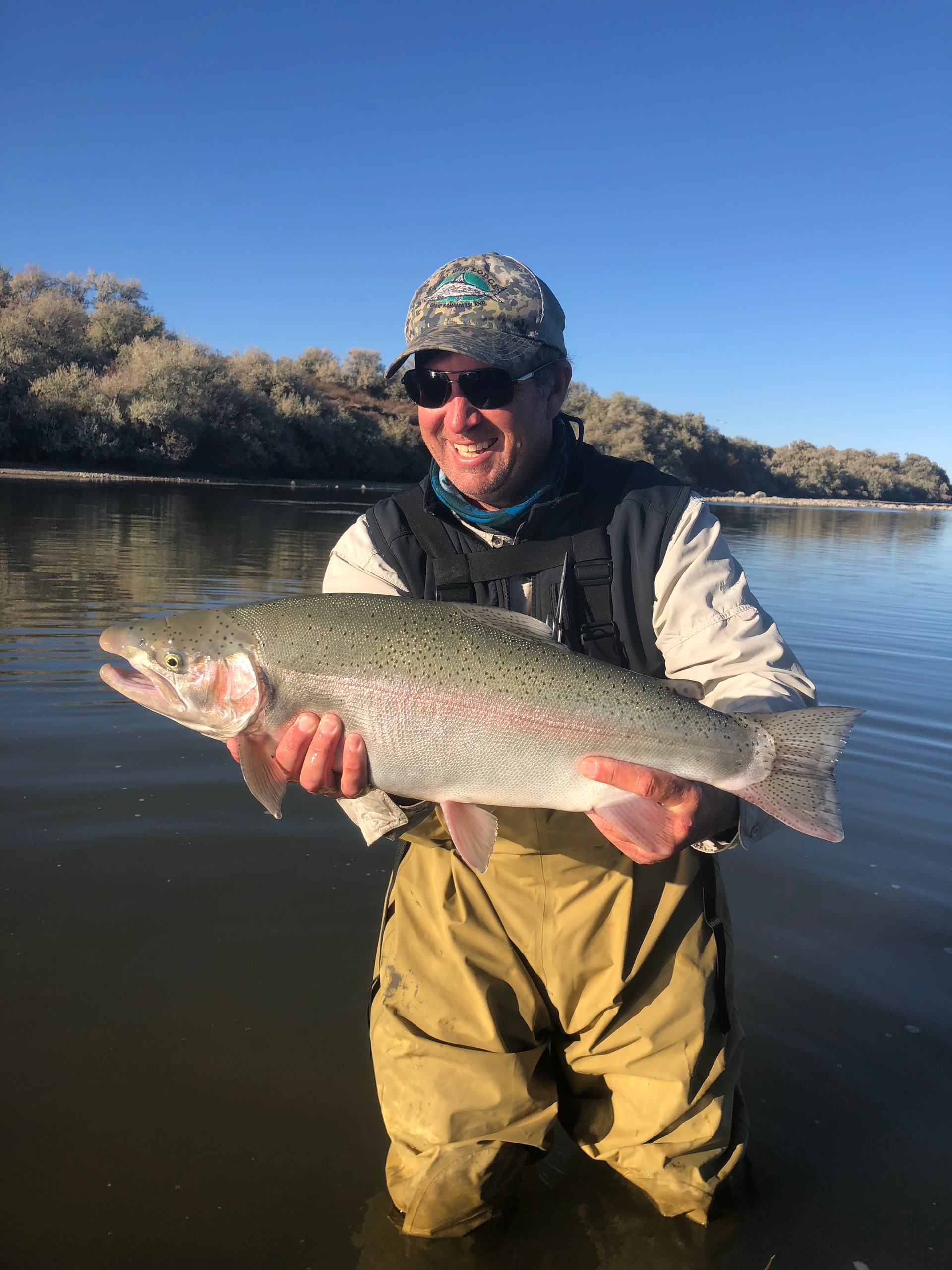 A man is kneeling in the water holding a large fish.