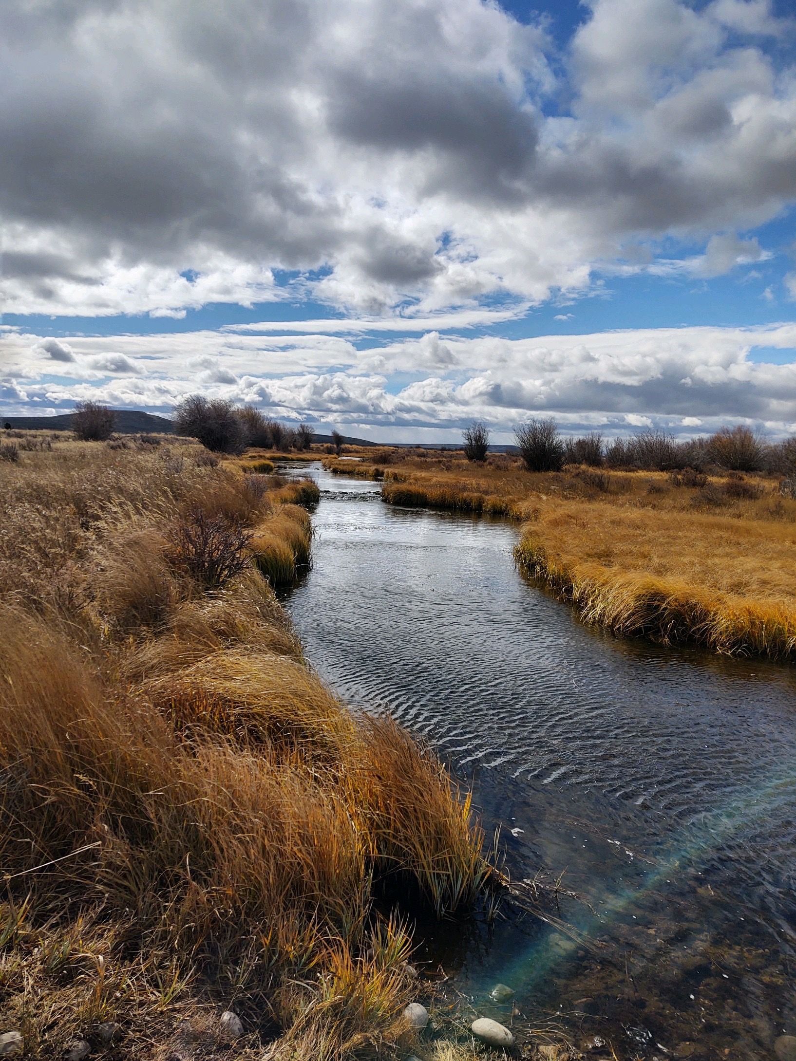 A small river running through a grassy field on a cloudy day.
