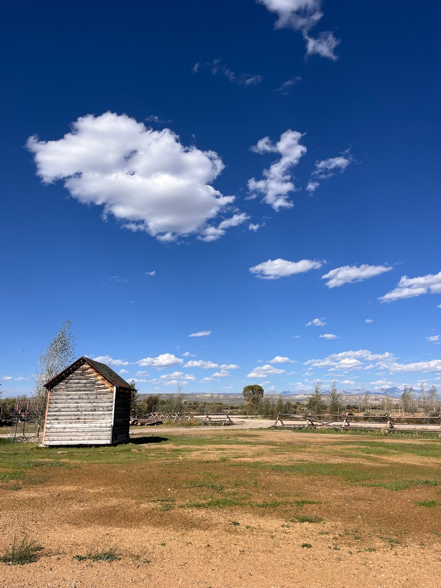 A small wooden house is sitting in the middle of a field.