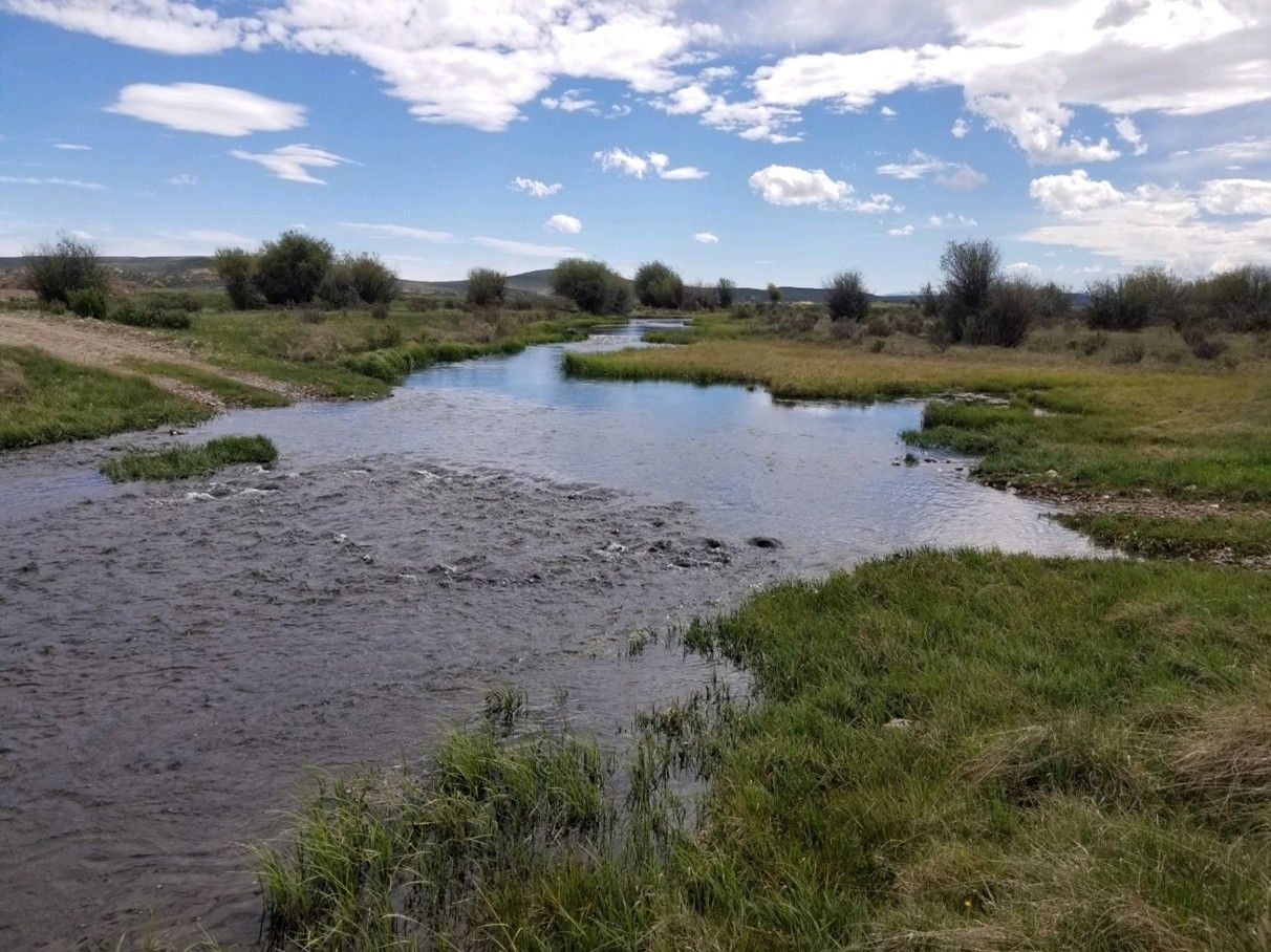 Jemas Ranch Prairie Creek Restoration