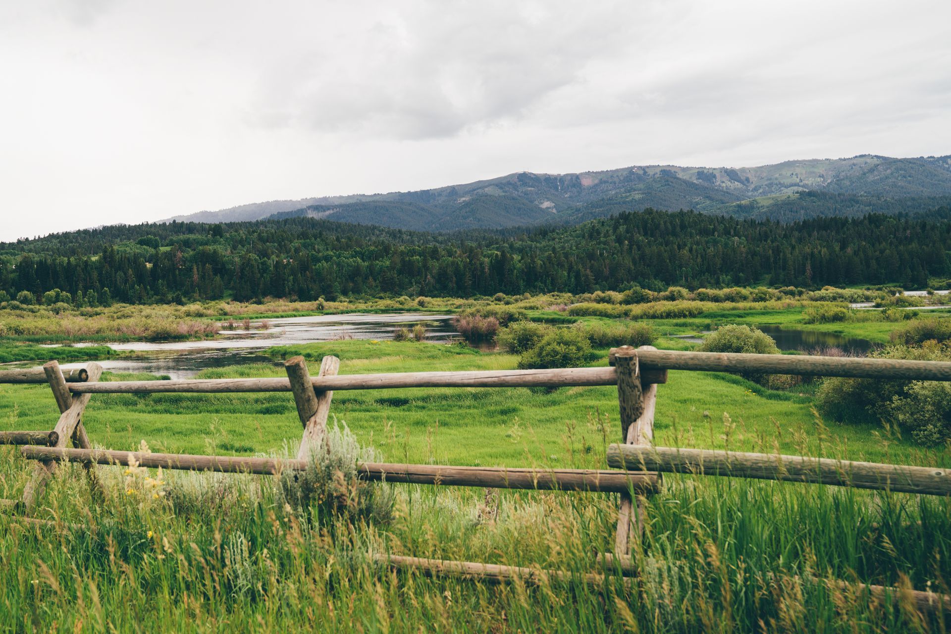 Wyoming's Salt River
