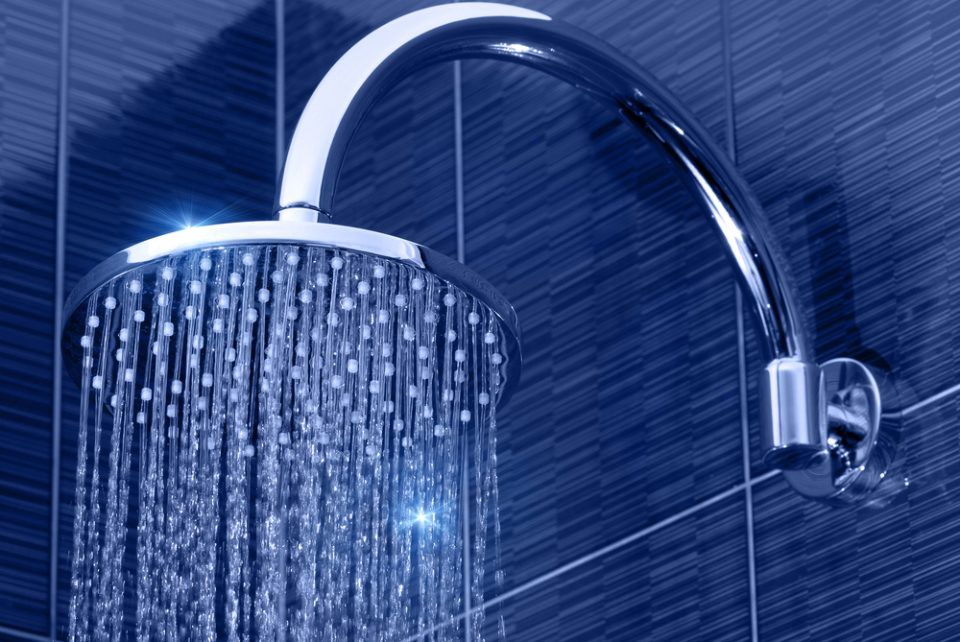inspectable shower head