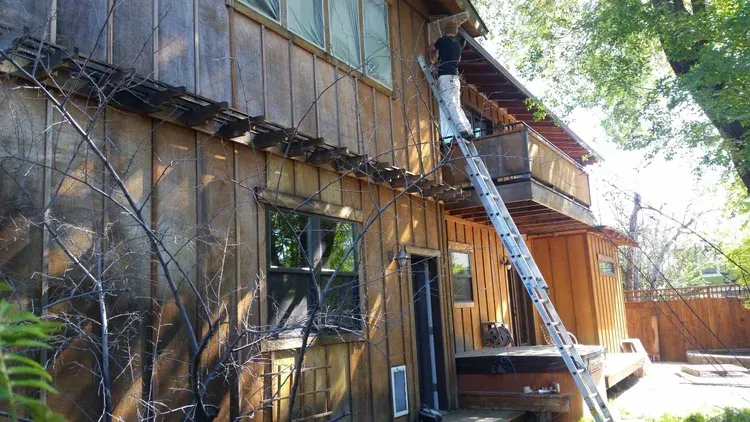 Person on tall ladder, painting wooden house exterior.