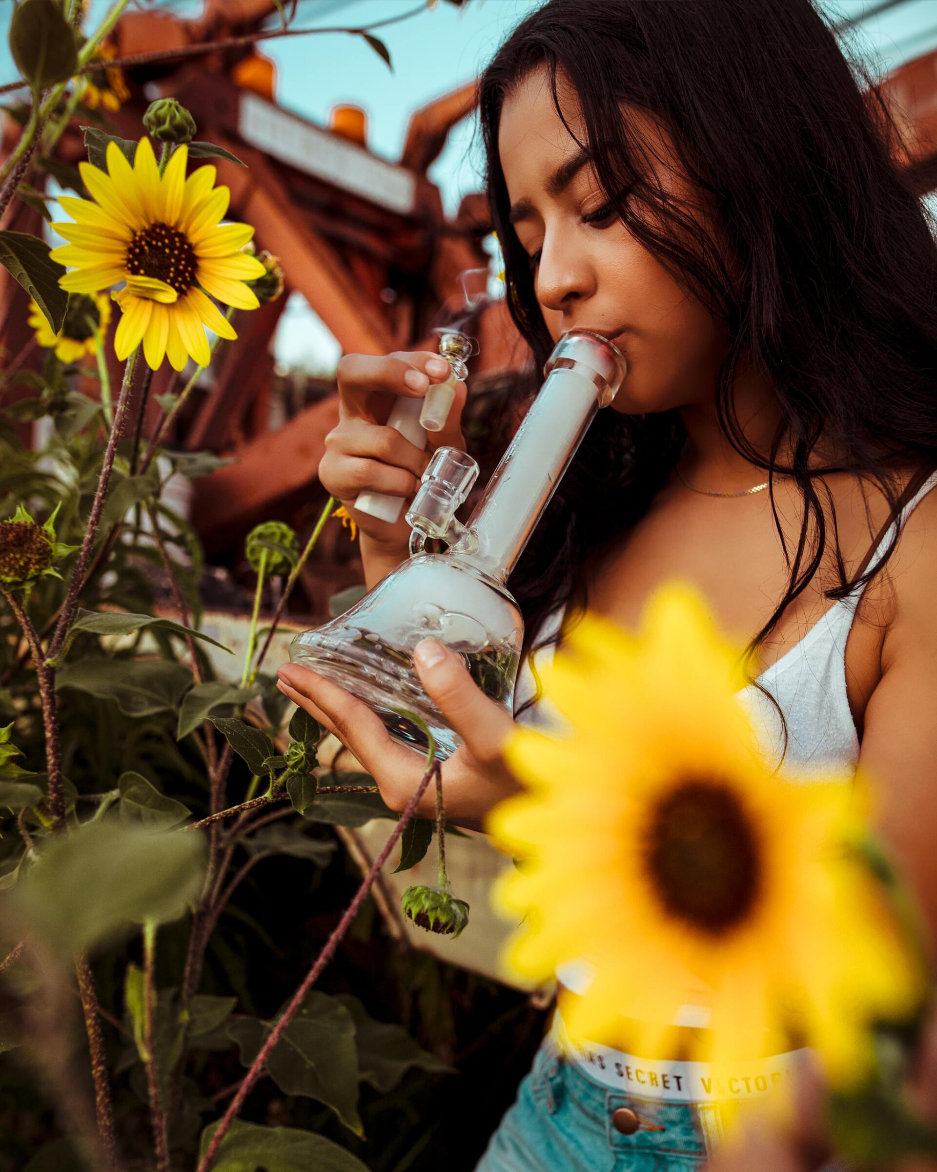 Marijuana