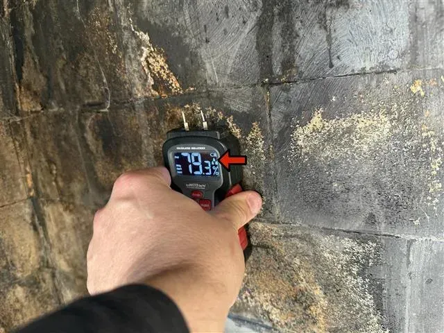 Hand holding a moisture meter pressed against damp, dark stone, displaying a 79.3% reading.