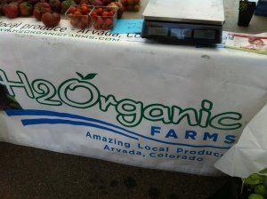 Farmers Market Adventure at Vitruvian Fitness