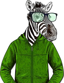 Zebra wearing glasses and a green hoodie, posing confidently.
