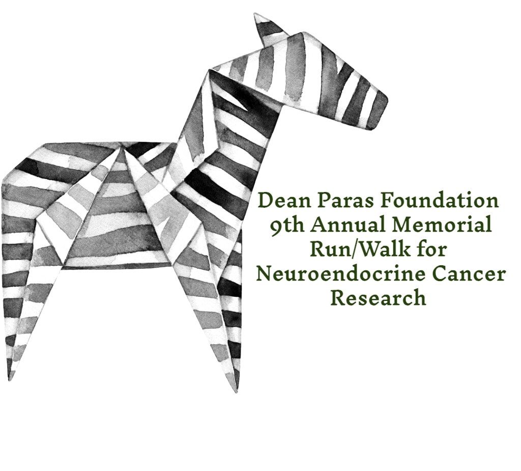 Origami zebra, text for Dean Paras Foundation run/walk for Neuroendocrine Cancer Research.