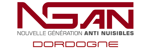 Un logo rouge et blanc pour nean sur fond blanc