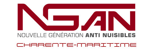 Un logo rouge et blanc pour nean sur fond blanc