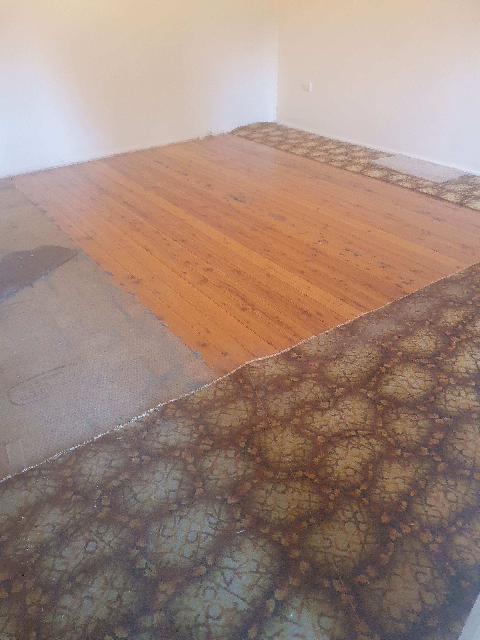 A room with a wooden floor and a carpet. A room with a wooden floor and a carpet.